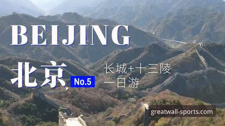 资深用户亲测：长城体育手机版下载安全吗？我的五年使用心得与数据验证